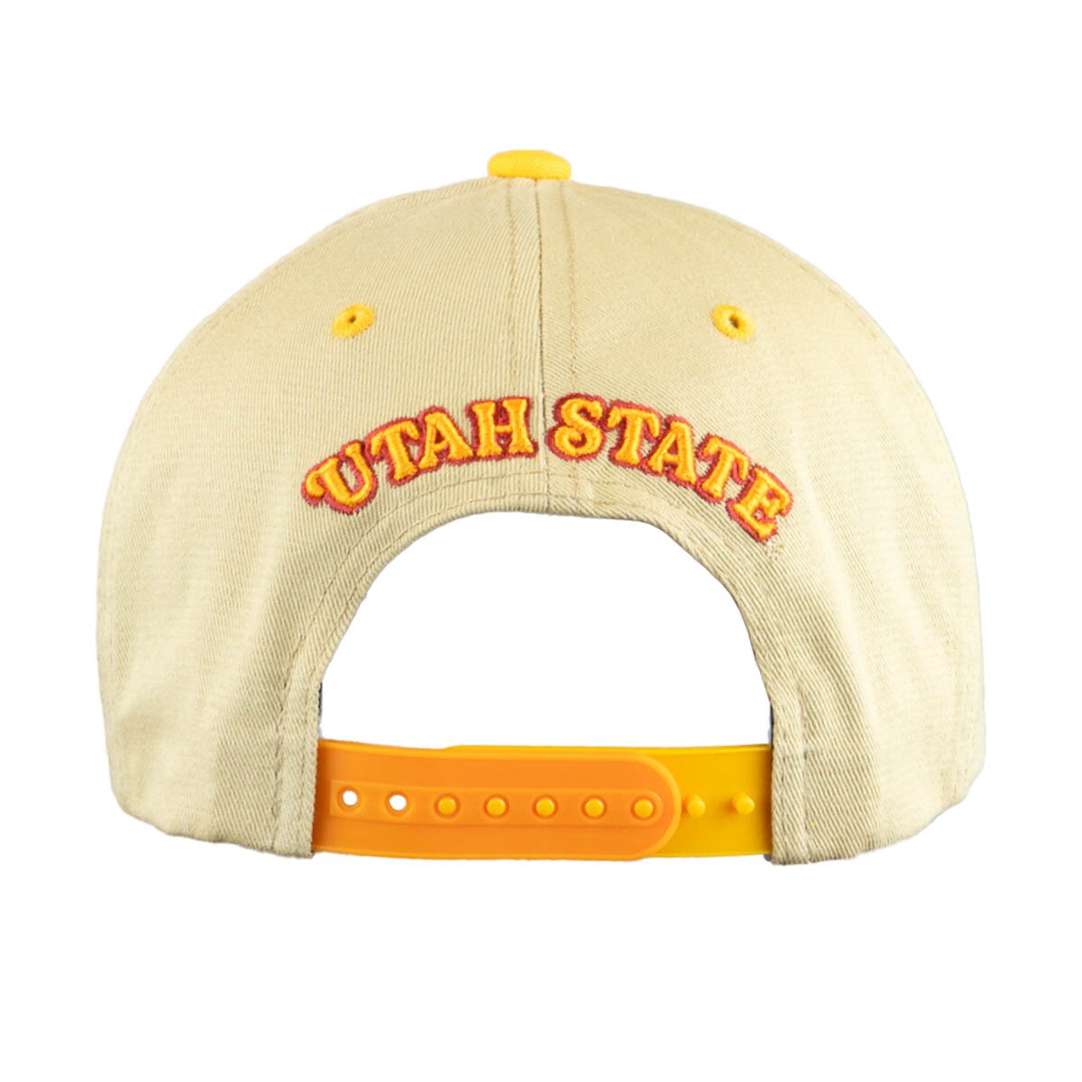 Capx spectrum magic adjustable snapback unisex cap